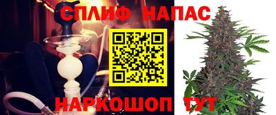 гашик Нарткала