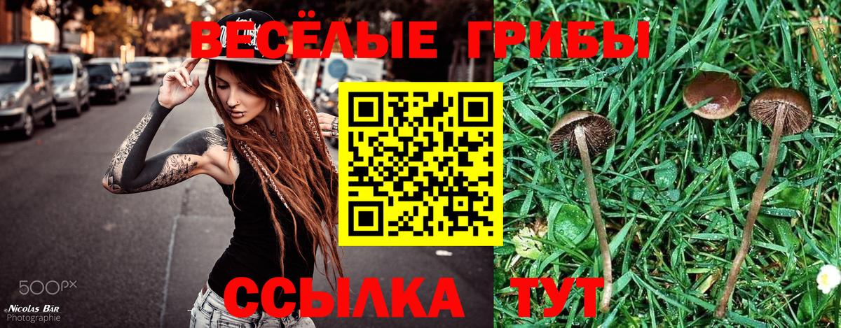 Галлюциногенные грибы ЛСД Великий Новгород