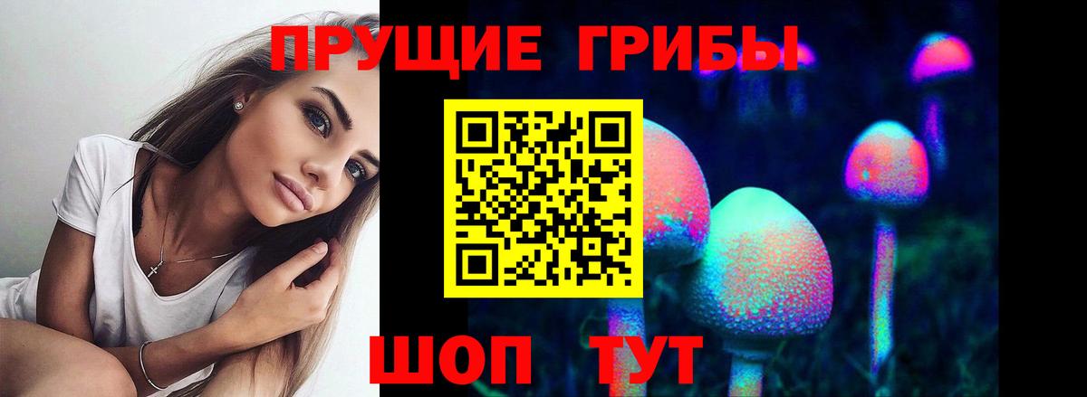Великий Новгород  Галлюциногенные грибы Psilocybine cubensis  Галлюциногенные грибы GOLDEN TEACHER  Вход с VPN 