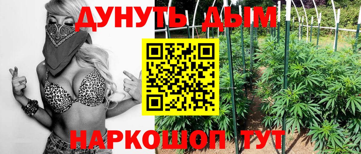 Бошки марихуана OG Kush  Марихуана планчик  Вход с VPN  Каннабис AK-47  Каннабис гибрид  Великий Новгород 